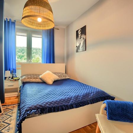 Apartamenty Bieszczadzki Aniol Устрики-Долішні Екстер'єр фото