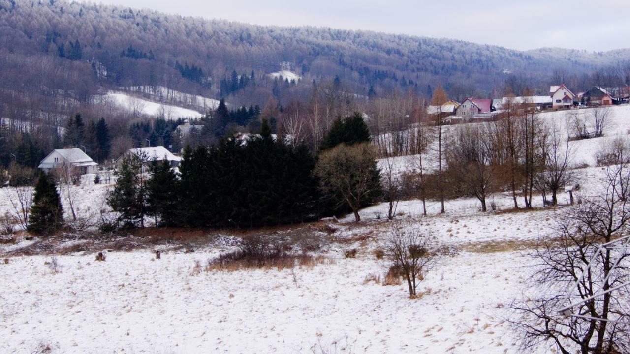 Apartamenty Bieszczadzki Aniol Устрики-Долішні Екстер'єр фото